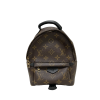 Louis Vuitton Mini Palm Spring Monogram Canvas